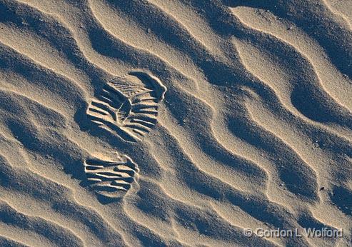 Footprint In Sand_42961.jpg - Photographed along the Gulf coast on Mustang Island near Corpus Christi, Texas, USA.